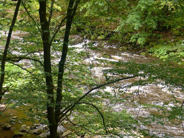 Semily - Riegrova stezka v PR Údolí Jizery. Peřeje na Jizeře