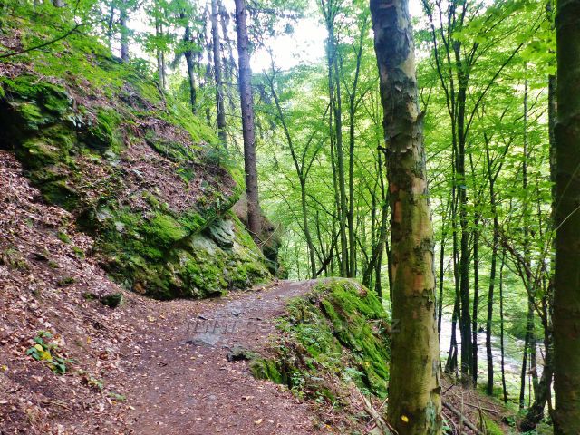 Semily - Riegrova stezka nad Jizerou v PR Údolí Jizery