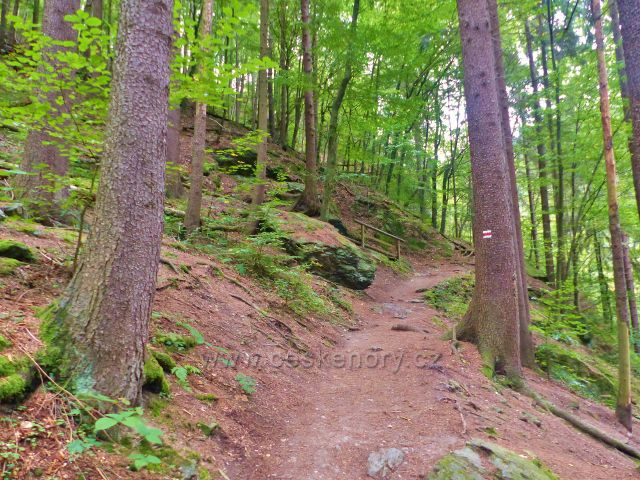 Semily - Riegrovu stezku provází v celé její délce v PR Údolí Jizery červená TZ