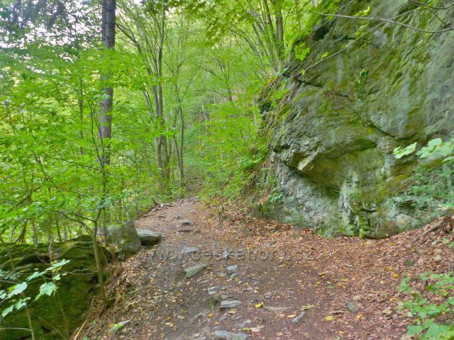 Semily - Riegrova stezka ve skalnatém svahu nad Jizerou