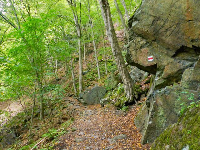 Semily - Riegrovu stezku v PR Údolí Jizery provází červená TZ