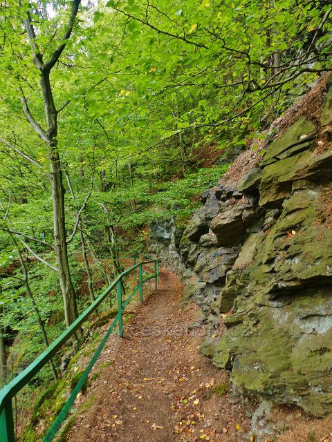 Semily - Riegrova stezka mezi Bohmovo vyhlídkou a přístřeškem Pěšorest