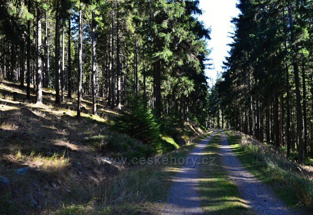 Kapitánská cesta z Hvězdy Karlova Studánka