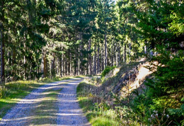 Kapitánská cesta z Hvězdy Karlova Studánka