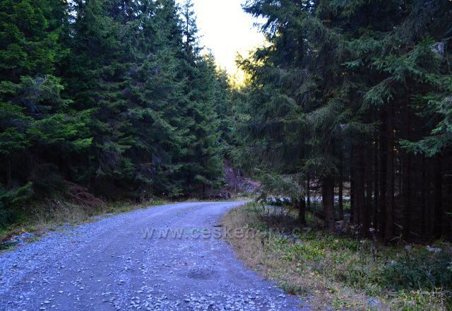 Kapitánská cesta z Hvězdy Karlova Studánka