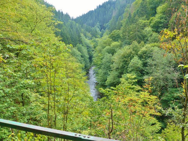Semily - Riegrova stezka. Pohled z vyhlídky u Pěšorestu do údolí Jizery