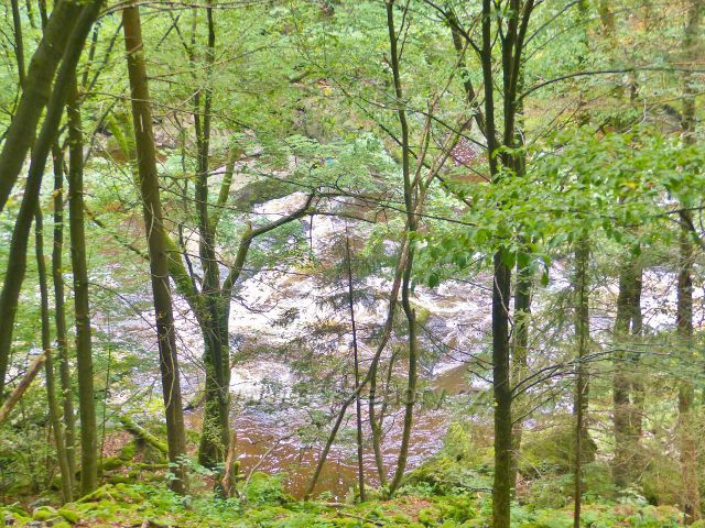 Semily - PR Údolí Jizery. Peřeje na Jizeře pod Riegrovo stezkou