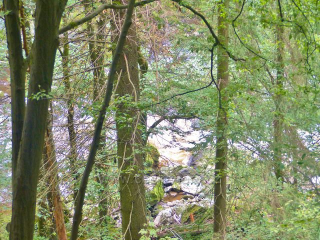 Semily - PR Údolí Jizery. Peřeje na Jizeře pod Riegrovo stezkou