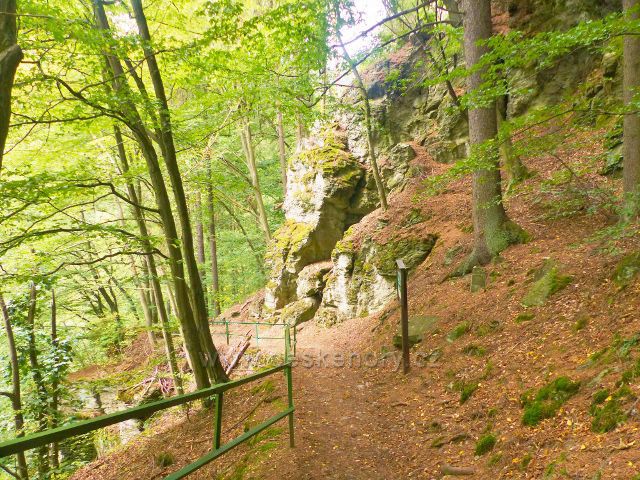 Semily - Riegrova stezka.Informační tabule Metamorfóza u níž je zároveň umístěn bod záchrany RS 07