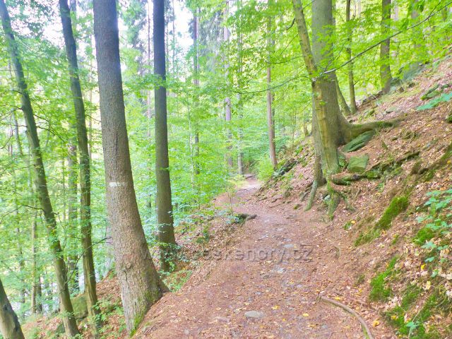 Semily - Riegrova stezka mezi bodem záchrany RS 10 a RS 11.