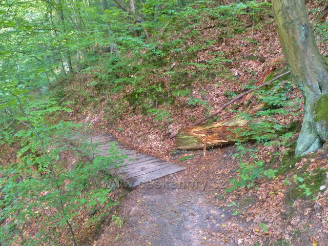 Semily - Riegrova stezka. Mostek přes vývařisko