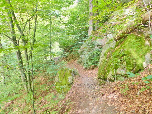 Semily - Riegrova stezka ve skalnatém svahu nad obloukem Jizery