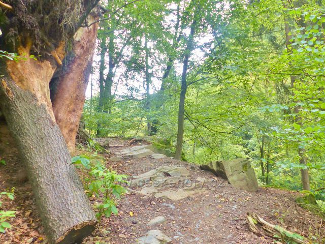 Semily - Riegrova stezka před  bodem záchrany RS 11