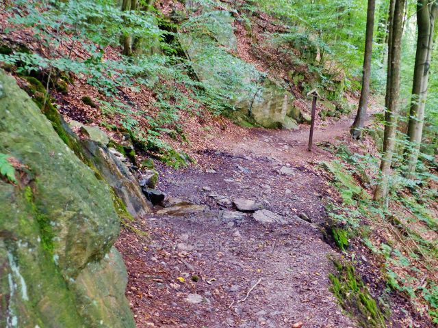 Semily - Riegrova stezka. Lokalita s Hvězdiččinou studánkou