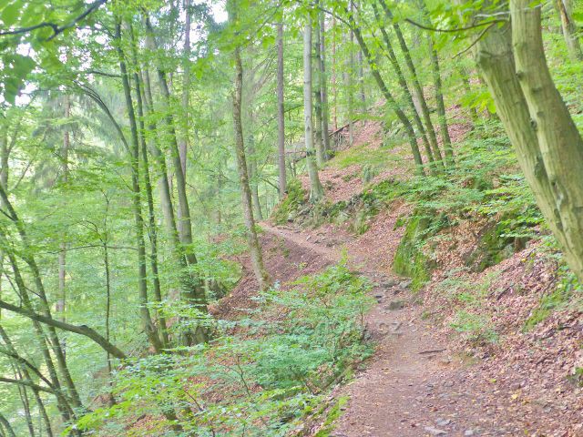 Semily - Riegrova stezka před bodem záchrany RS 12