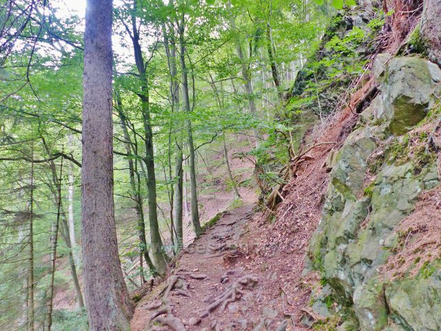Semily - Riegrova stezka před bodem záchrany RS 12