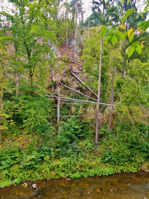 Spálov - polom nad soutokem Jizery a Kamenice