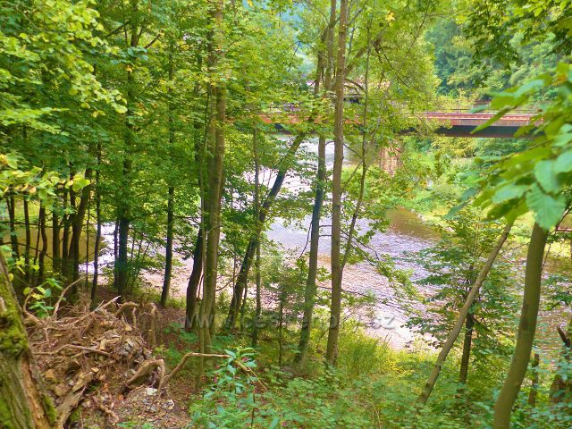 Spálov - pohled ze silnice na soutok Kamenice s Jizerou pod spálovským železničním mostem