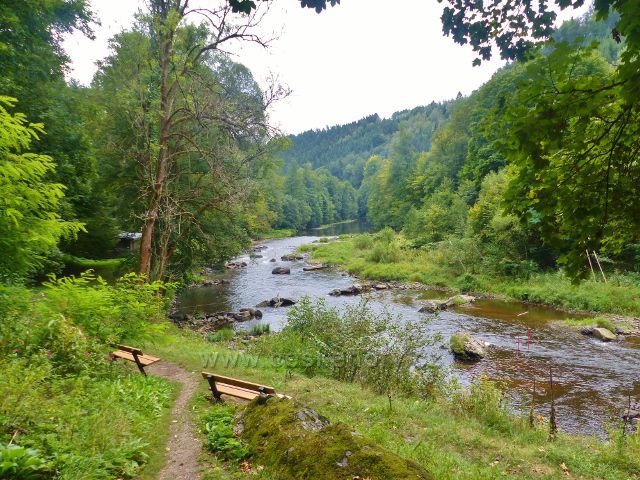 Železný Brod - Jizera mezi Spálovem a Železným Brodem pod tábořištěm Paraplíčko