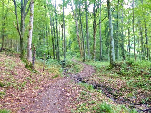Vrátský potok na trase ze Železného Brodu na Malou Skálu