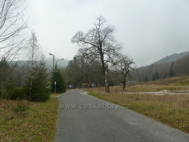 Kletno - silnička k Medvědí jeskyni