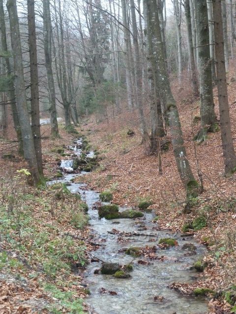 Kletná - potok Klešnica