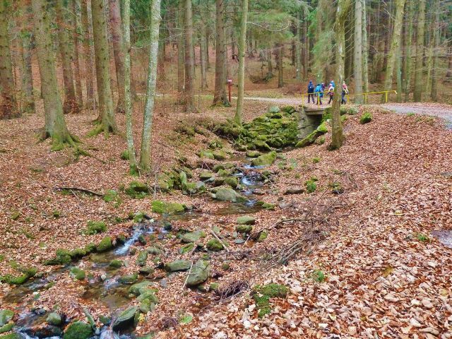 Kletno - potok Klešnica