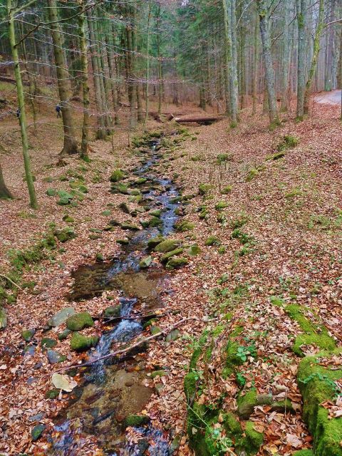 Kletno - potok Klešnica