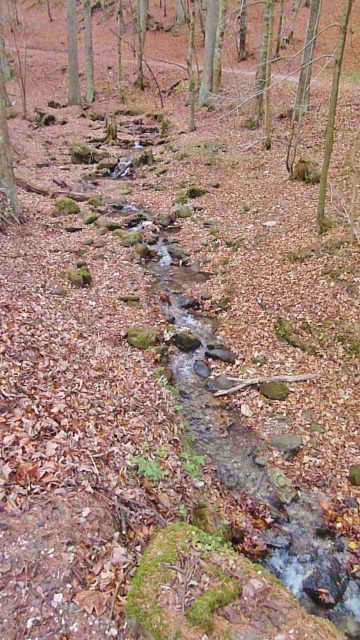 Kletno - potok Klešnica pod Medvědí jeskyní
