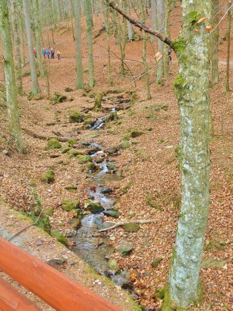 Kletno - potok Klešnica nad mostkem pod Medvědí jeskyní