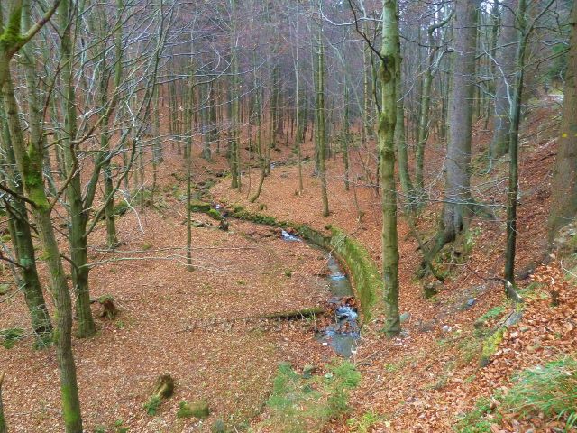 Kletno - potok Klešnica nad Medvědí jeskyní