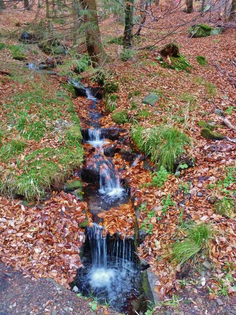 Kletno - potok Klešnica nad Medvědí jeskyní