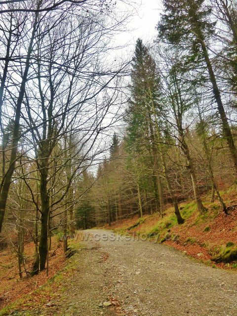 Kletno - cesta po žluté TZ k polské chatě Pod Sněžníkem