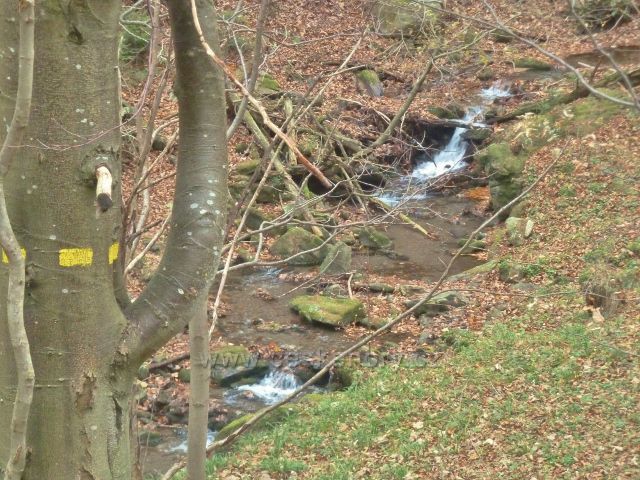 Kletno - potok Klešnica pod cestou po žluté TZ na Králický Sněžník