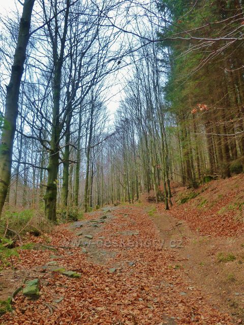 Kletno - cesta po žluté TZ ke schronisku "Na Sniežniku"
