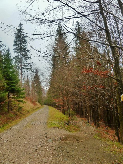 Kletno - napojení trasy po žluté TZ na pevnou cestu ke schronisku Na Sniežniku