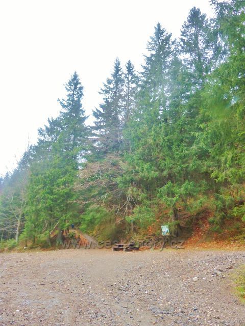 Kletno - rozcestí pod sedlem Sniežnická