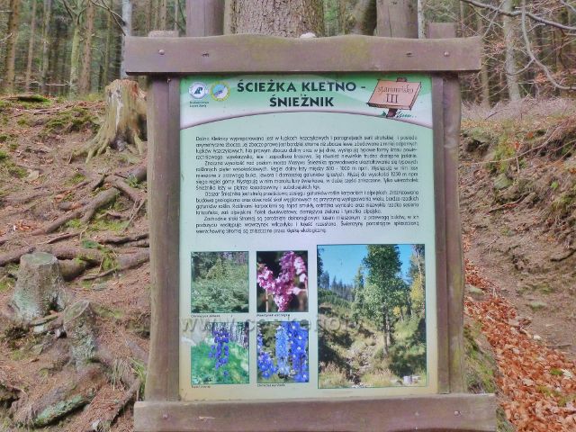 Kletno - informační tabule na III. zastavení stezky Kletno-Sniežnik na křižovatce pod sedlem Sniežnická