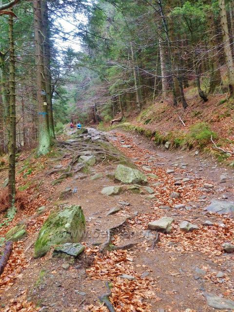 Kletno - cesta po žluté TZ ke schronisku Na Sniežniku