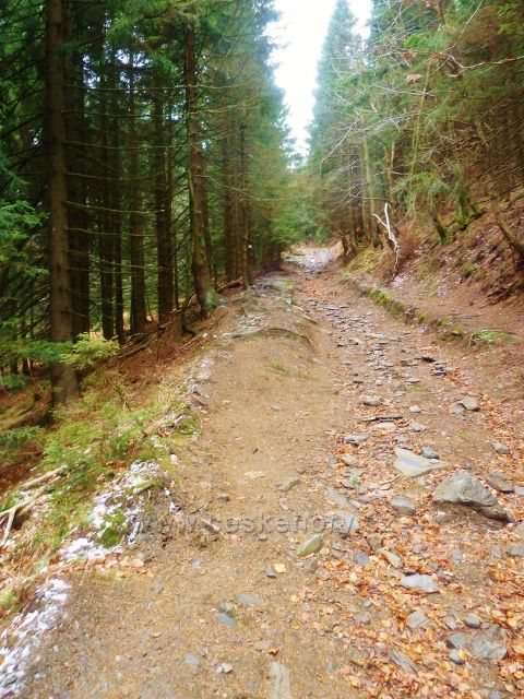 Kletno - cesta po žluté TZ k sedlu Sniežnická