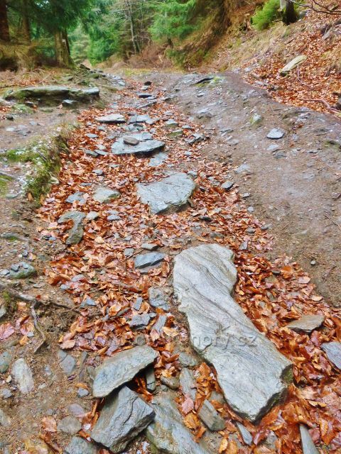 Kletno -cesta po žluté TZ k sedlu Sniežnická
