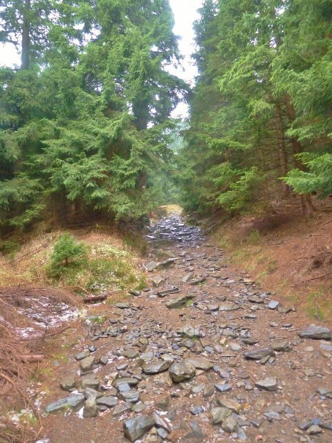 Kletno - cesta po žluté TZ k sedlu Sniežnická