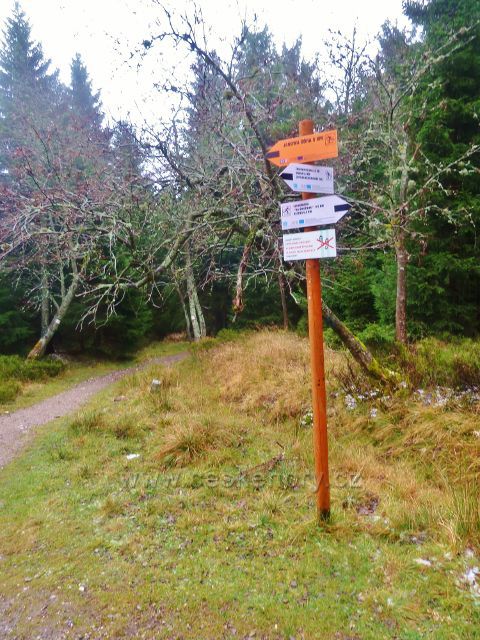 Kletno - lyžařský rozcestník v sedle Sniežnická