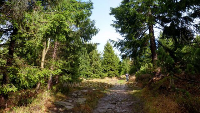 Z Velké Deštné do Luisina údolí