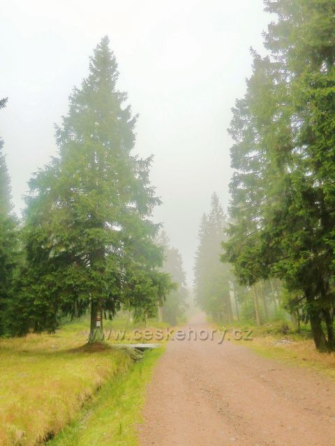 Kletno - cesta po modré TZ ze sedla Sniežnik ke schronisku Na Sniežniku