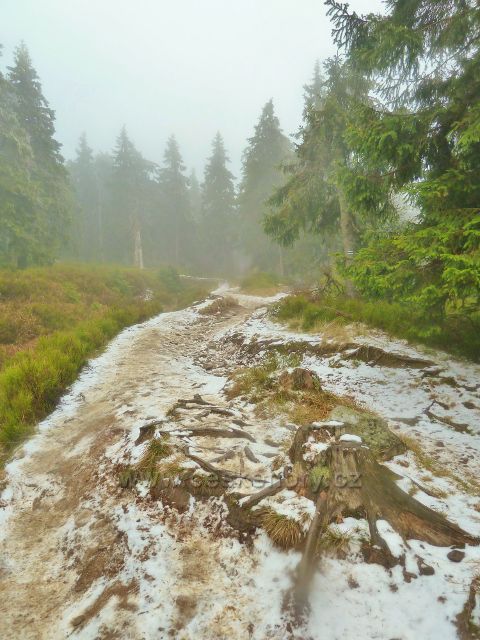 Po zelené TZ na vrchol Králického Sněžníku