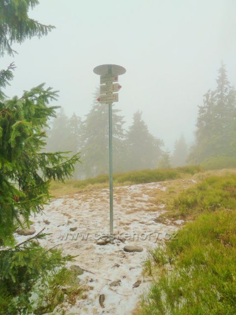 Turistický rozcestník na Červené TZ nad chatou Na Sněžníku
