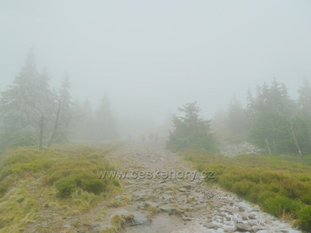 Po červené TZ k vrcholu Králického Sněžníku