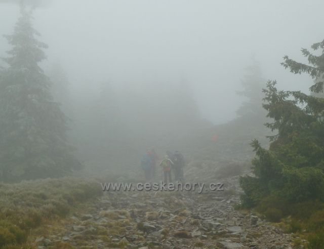 Po cestě k vrcholu Králického Sněžníku se převaluje hustá mlha