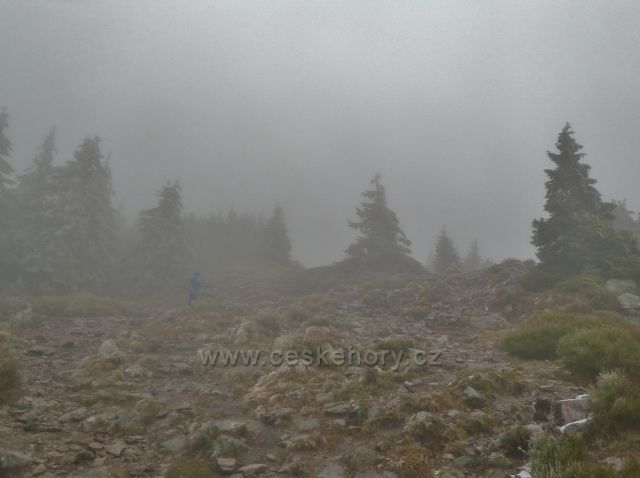 Mlha na cestě k vrcholu Králického Sněžníku